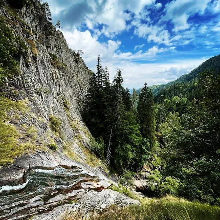 музикалната къща