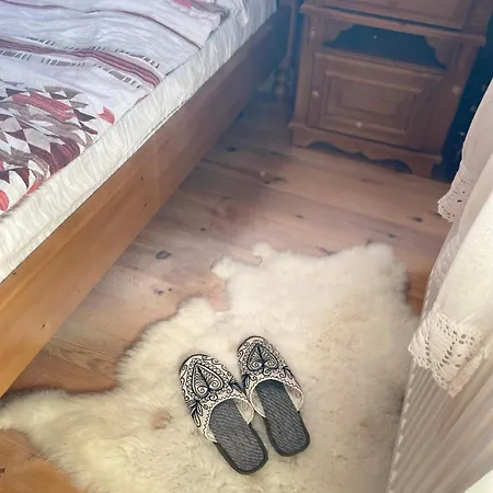 музикалната къща Breze