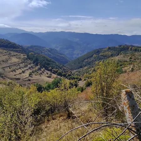 музикалната къща