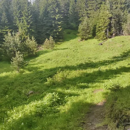 музикалната къща Breze