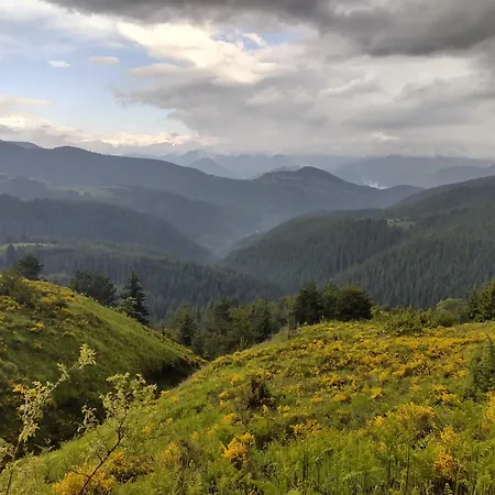 музикалната къща Konukevi *