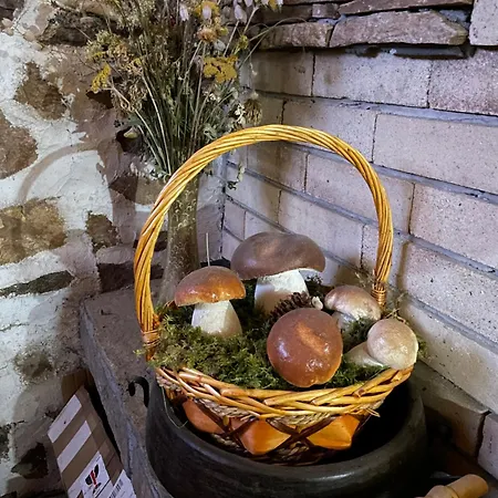 музикалната къща Breze