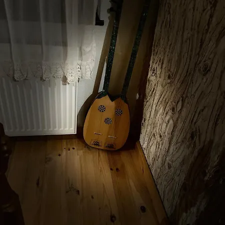 музикалната къща *