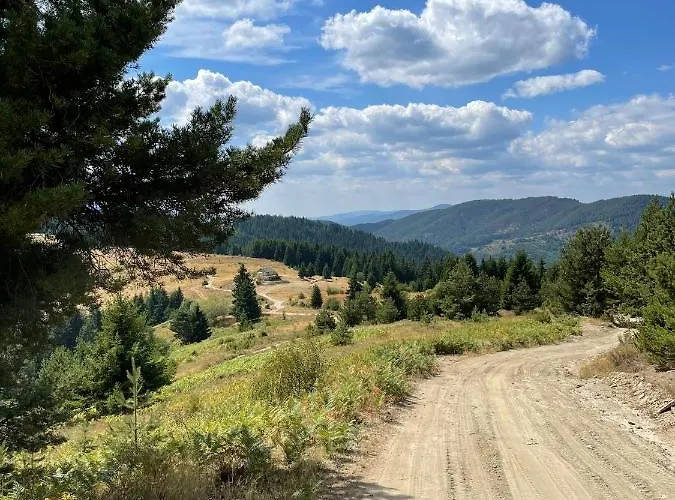 музикалната къща Pensiune