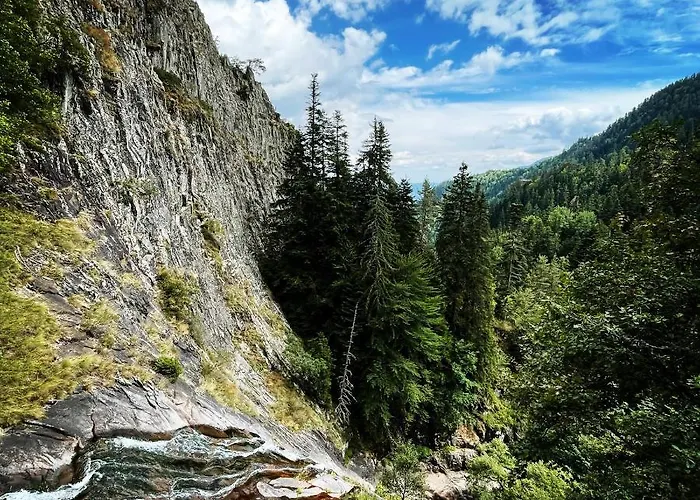 музикалната къща