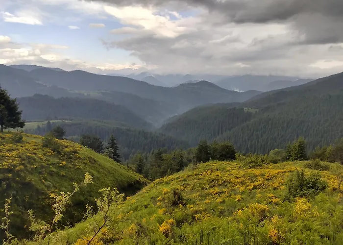 музикалната къща Pensiune *