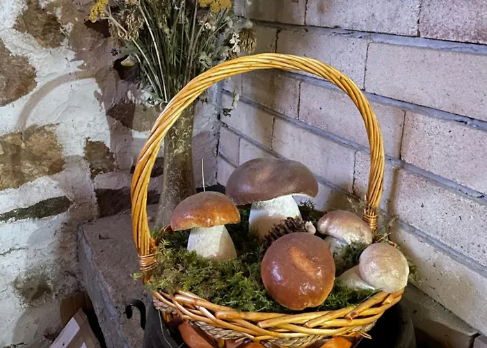 музикалната къща Breze