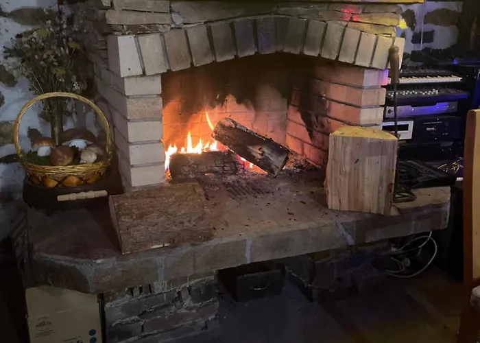 музикалната къща Pensiune *